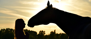 Adventure activities in Carmarthenshire including horse riding